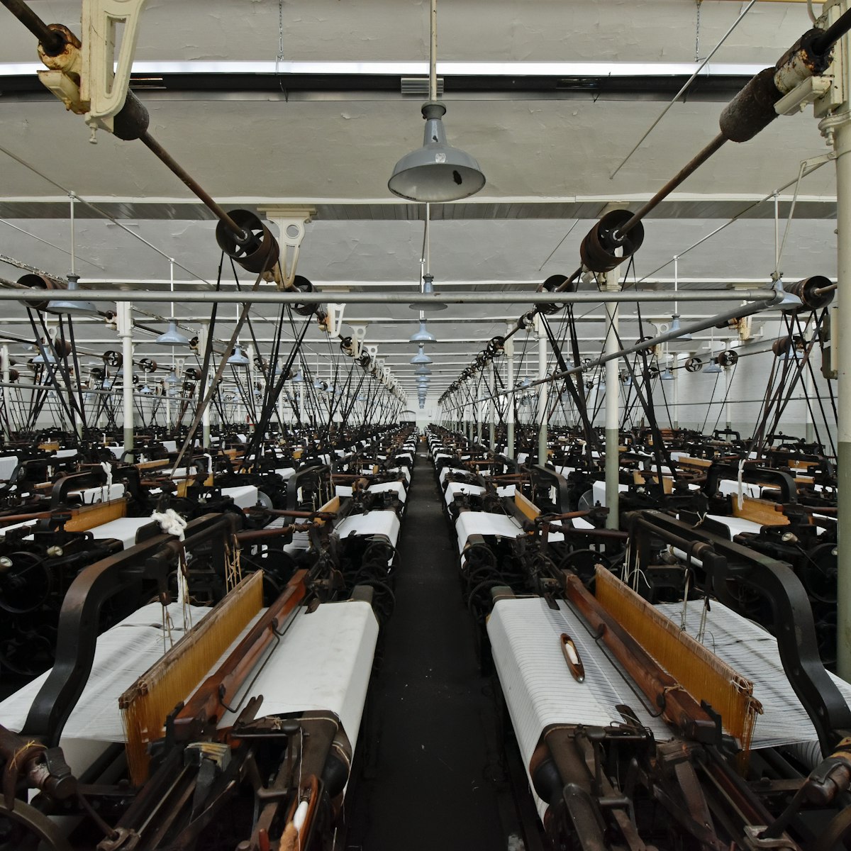 Bag lines